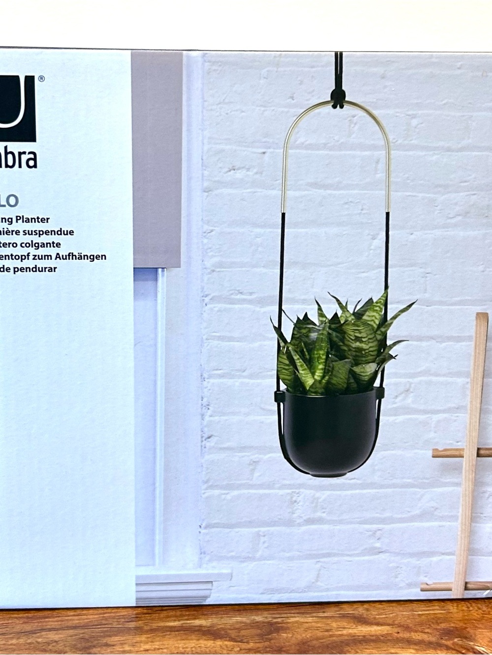 Umbra Planter - Bolo Single Hanging Planter — Black | NEW IN BOX - NWT - Picture 2 of 9